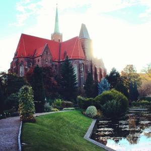 Botanik bahçesi ve katedral